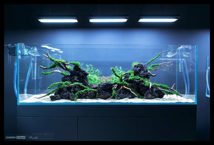 Pack acuario plantado 300 litros